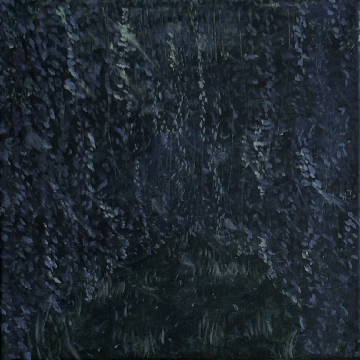 Gallery 6